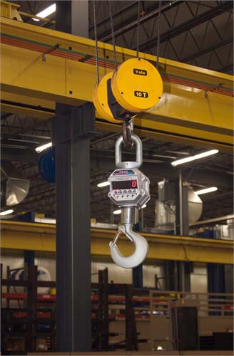 MSI-4260 IS intrinsically safe crane scale
